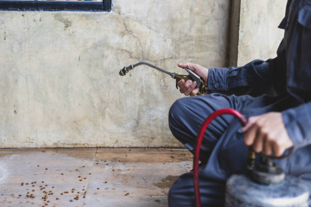 Best Mosquito Control Services  in Durham, NC